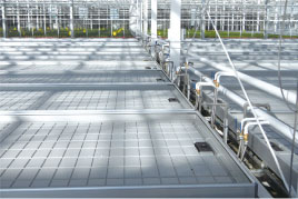 潮汐式灌溉苗床