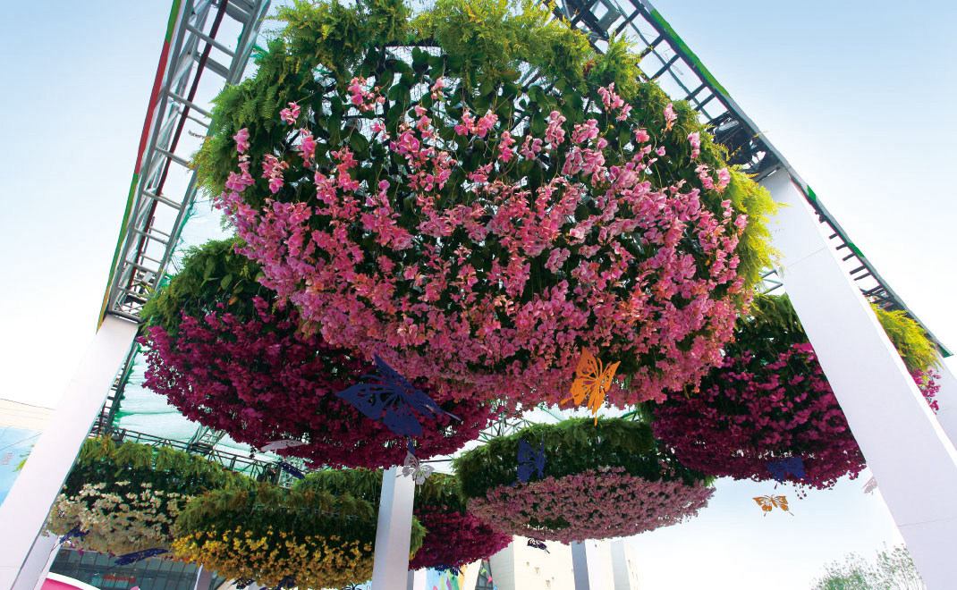 第四屆中國(guó)蘭花大會(huì)花卉布置 北京·房山