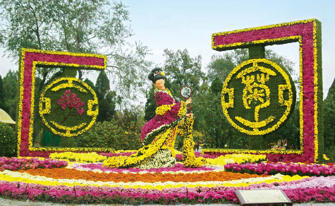 全國(guó)菊展 河南·開(kāi)封