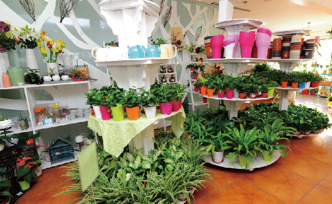 園藝中心內(nèi)景