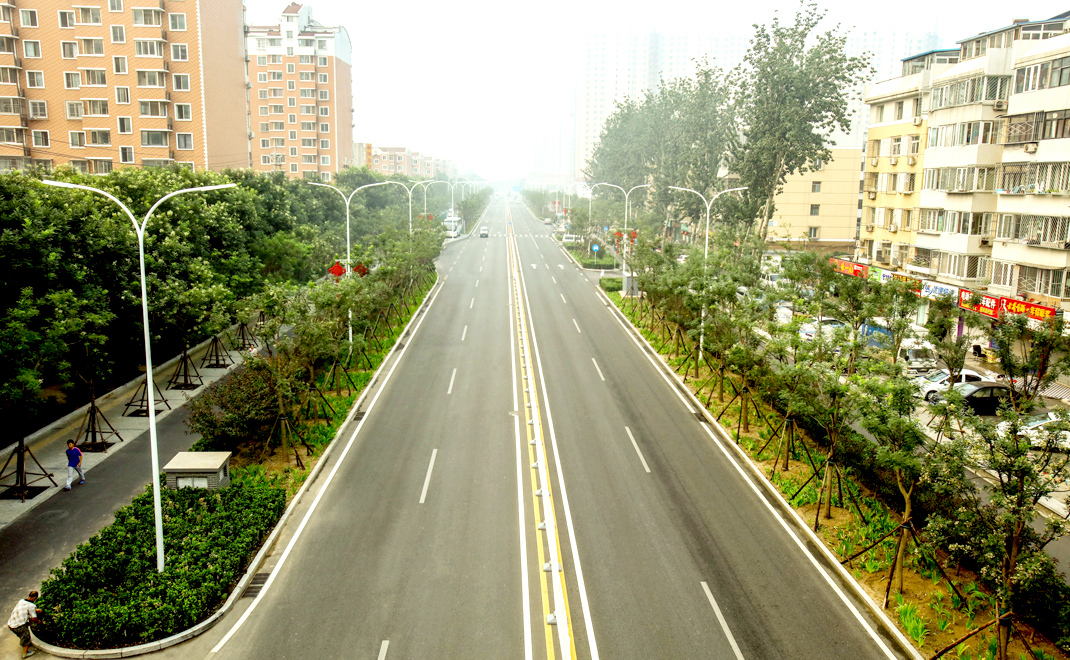 通州新城運(yùn)河核心區(qū)路網(wǎng)綠化工程(一期)二標(biāo)段