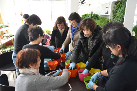 “三八”婦女節(jié)組織女性員工參與園藝活動